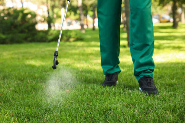 Best Best Pest Control Companies  in Glencoe, MN