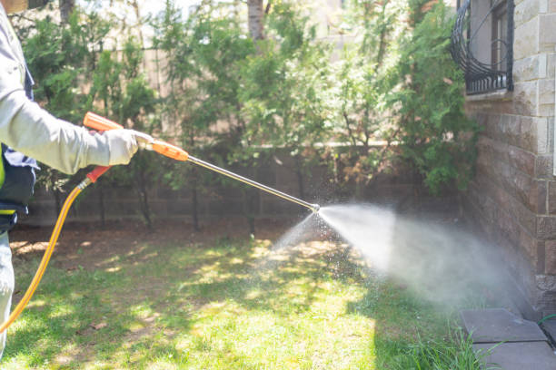 Best Flea Control Services  in Glencoe, MN