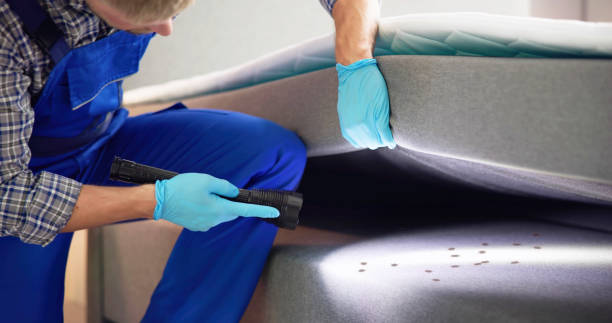 Best Pest Inspection Near Me  in Glencoe, MN