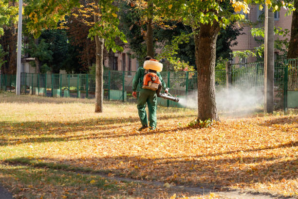 Best Cockroach Control Services  in Glencoe, MN