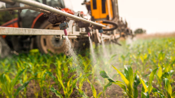 Best Pest Control Near Me  in Glencoe, MN
